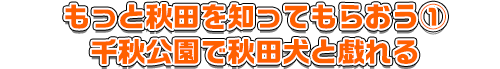 もっと秋田を知ってもらおう①