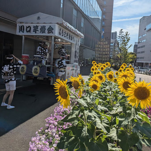 竿燈まつり開催中