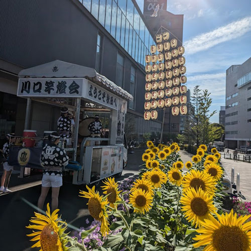 夏本番です