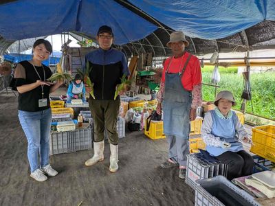 生でも甘いトウモロコシ！「照井農園」