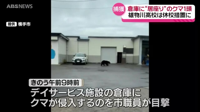         倉庫に侵入したクマは体長1.3メートルのメス  朝までに捕獲用のおりに入り搬出…けが人なし 横手市雄物川町