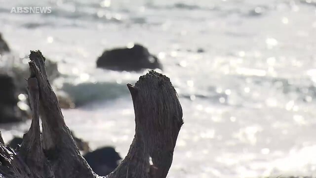         八峰町の海で…男性（65）死亡　釣り中に海に転落か