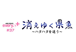 ABS news every.＋＃37　消えゆく県魚～ハタハタを追う～